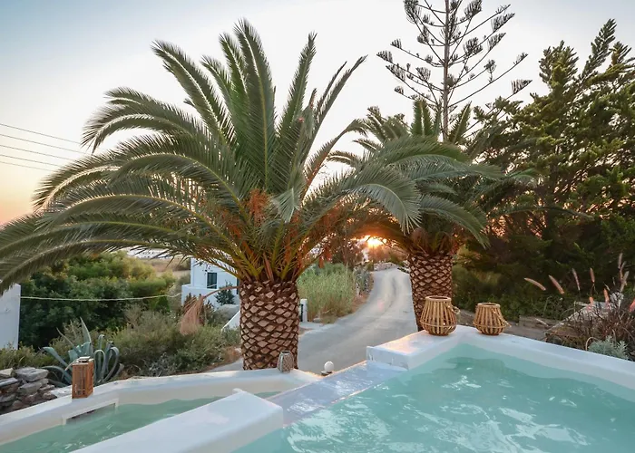 Flora's With Plunge Pool Agkidia