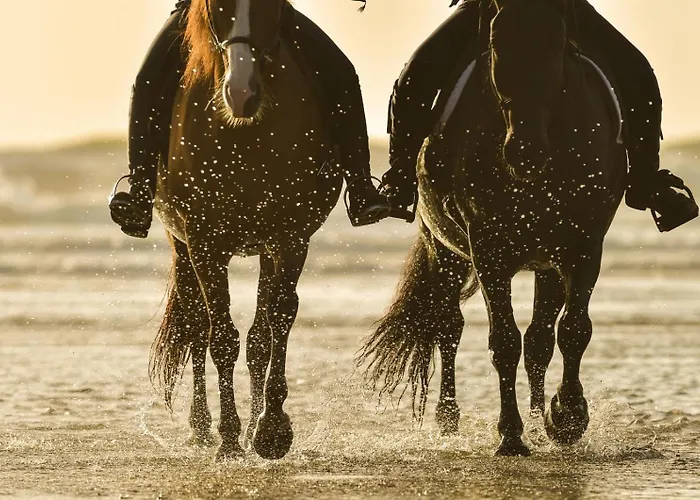 Flora's With Plunge Pool * Agkidia