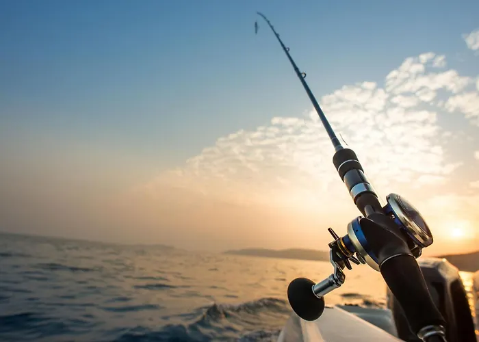 Flora's With Plunge Pool Hébergement de vacances *