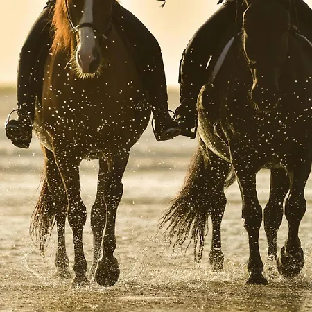 Flora's With Plunge Pool * Agkidia