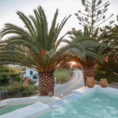 Flora's With Plunge Pool Tatil Evi